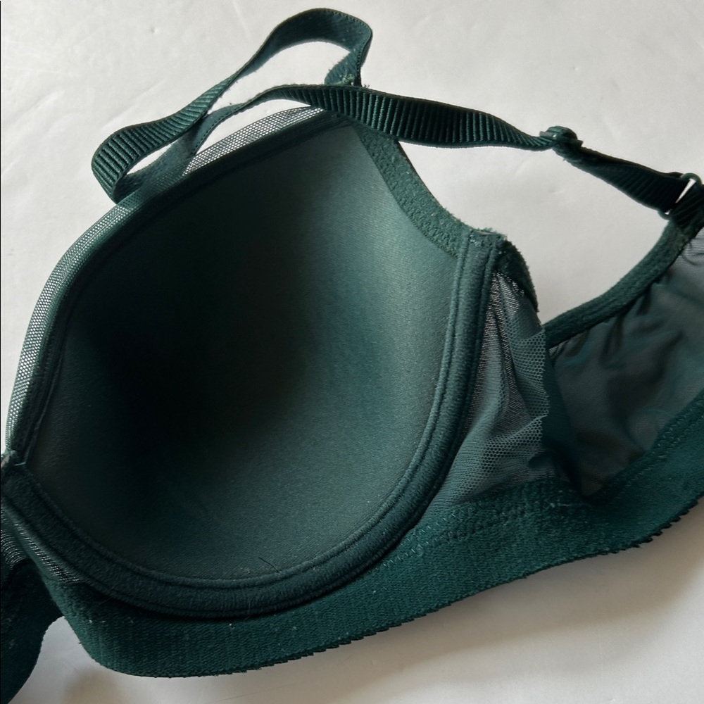 Veronique Branquinho Deep Green Bra - Picture 7 of 7